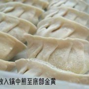 速冻水饺煎饺子-速冻煎饺和水饺有什么区别