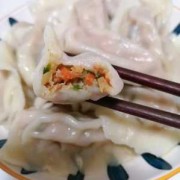 关于牛肉牛肉胡萝卜水饺怎么做的信息