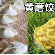 黄蘑水饺子（黄蘑馅儿的饺子怎么和好吃）