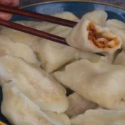  豆腐陷水饺怎么做好吃吗「豆腐水饺馅的做法大全视频」