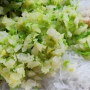  饺子皮包包菜「饺子皮包包菜怎么包」