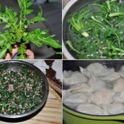 什么野菜包水饺好吃呢