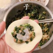 韭菜虾仁的水饺怎么包