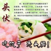 头伏饺子二伏面的寓意