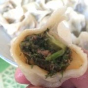  茴香和肉包饺子好吃「茴香饺子馅肉和茴香比例」