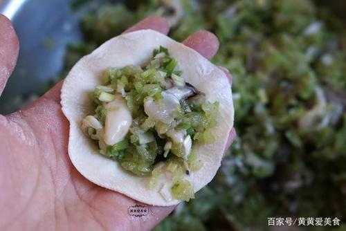 黄牙白饺子馅做法大全窍门_黄芽白包饺子要焯水吗  第3张