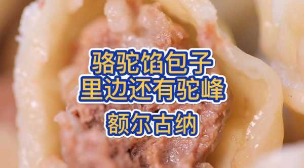 骆驼肉包饺子能放白菜吗  第2张